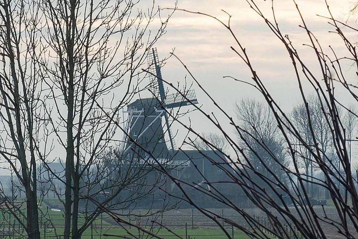 B&B Lauwersstate Paesens Bagian luar foto